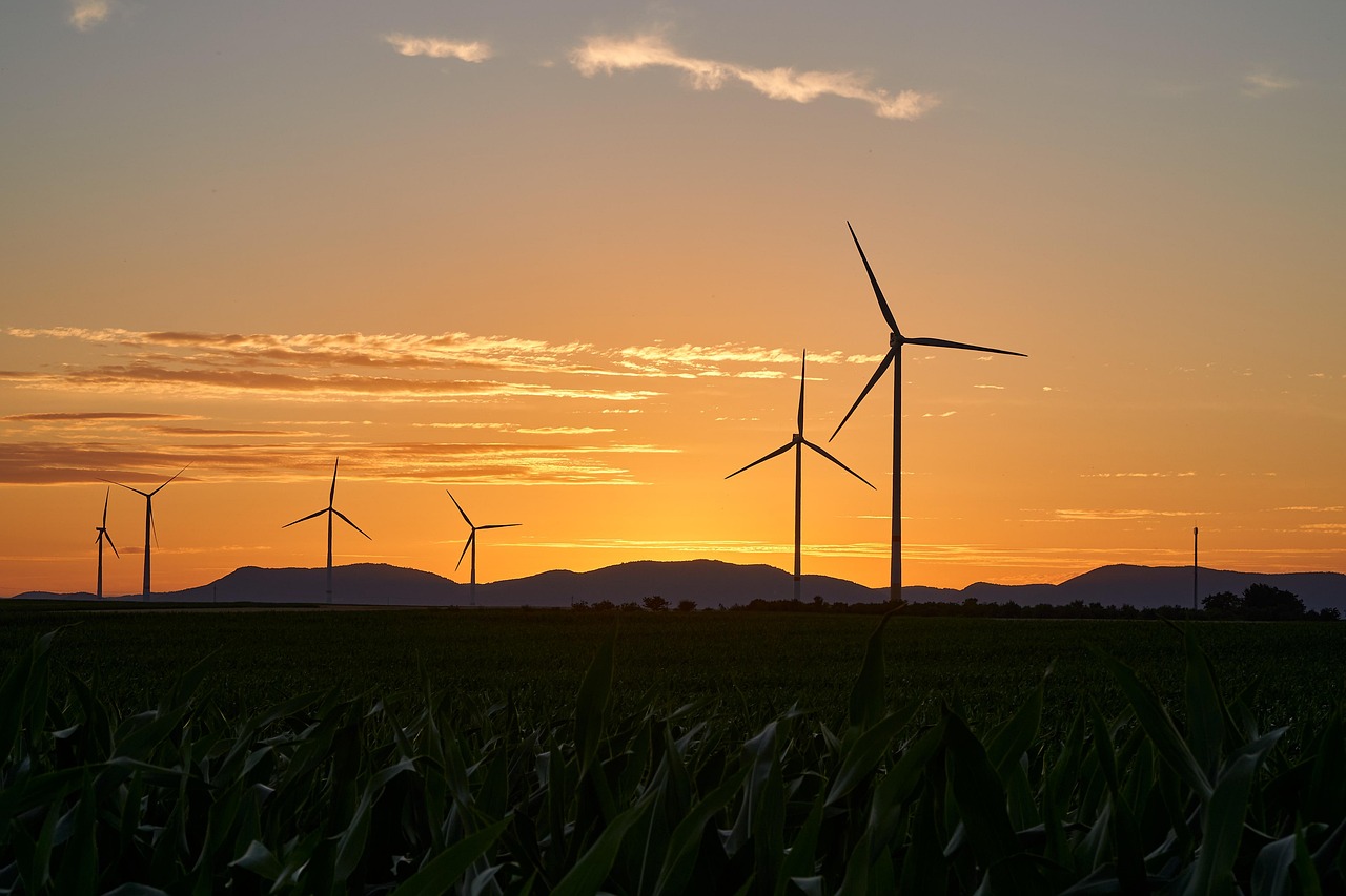 pinwheels, energy, nature, electricity, renewable, wind energy, sunset, wind farm, dusk, trees, landscape