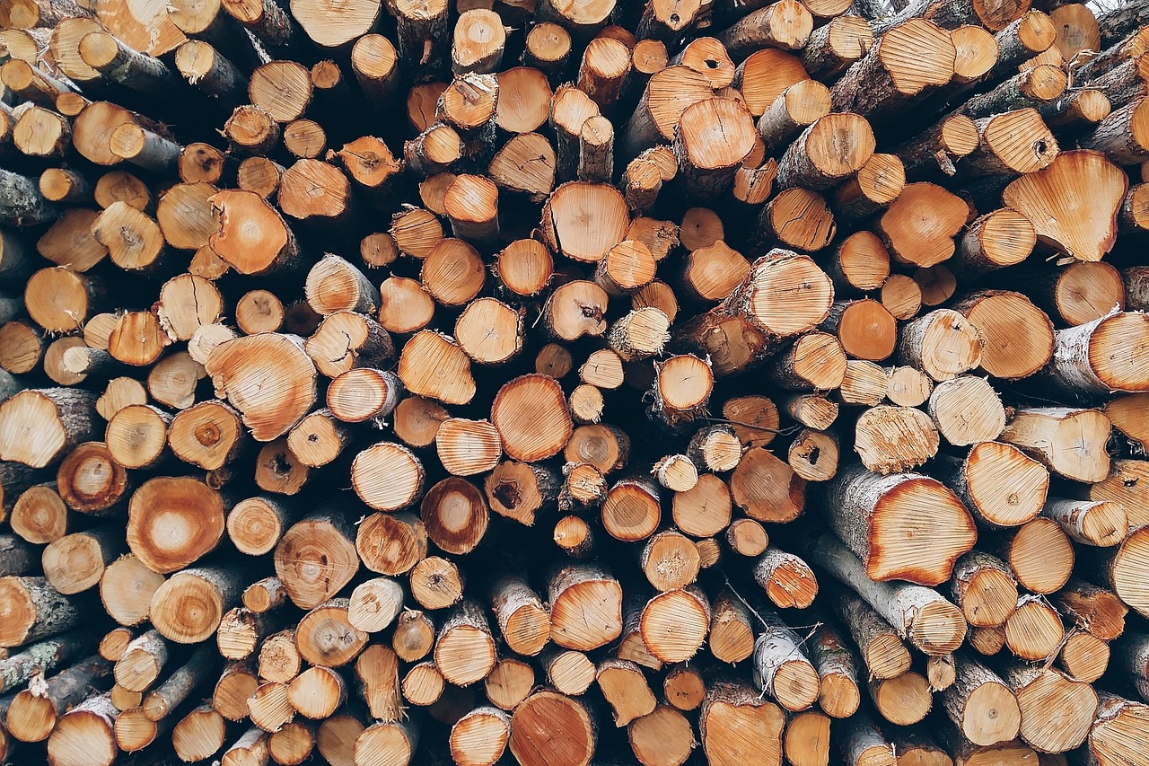wood, pile, logs, bole, firewood, pieces of timber, woodpile, wooden, timber, forestry, texture, deforestation, material, wooden logs, wood, wood, wood, wood, wood, logs, firewood, timber