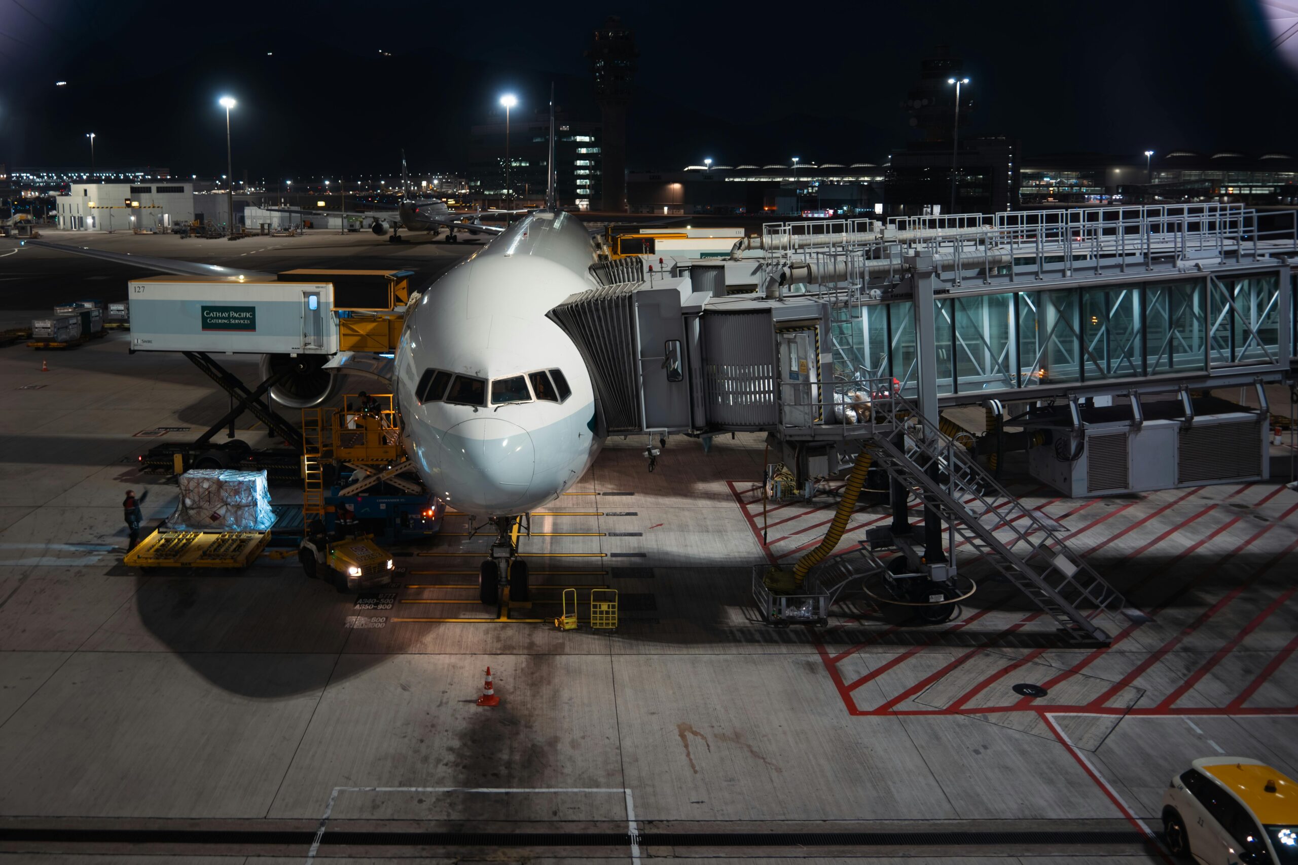 pexels fungraphy 36194618